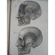 Cloquet Jules Manuel d'anatomie descriptive du corps humain représentée en [340] planches lithographiées -