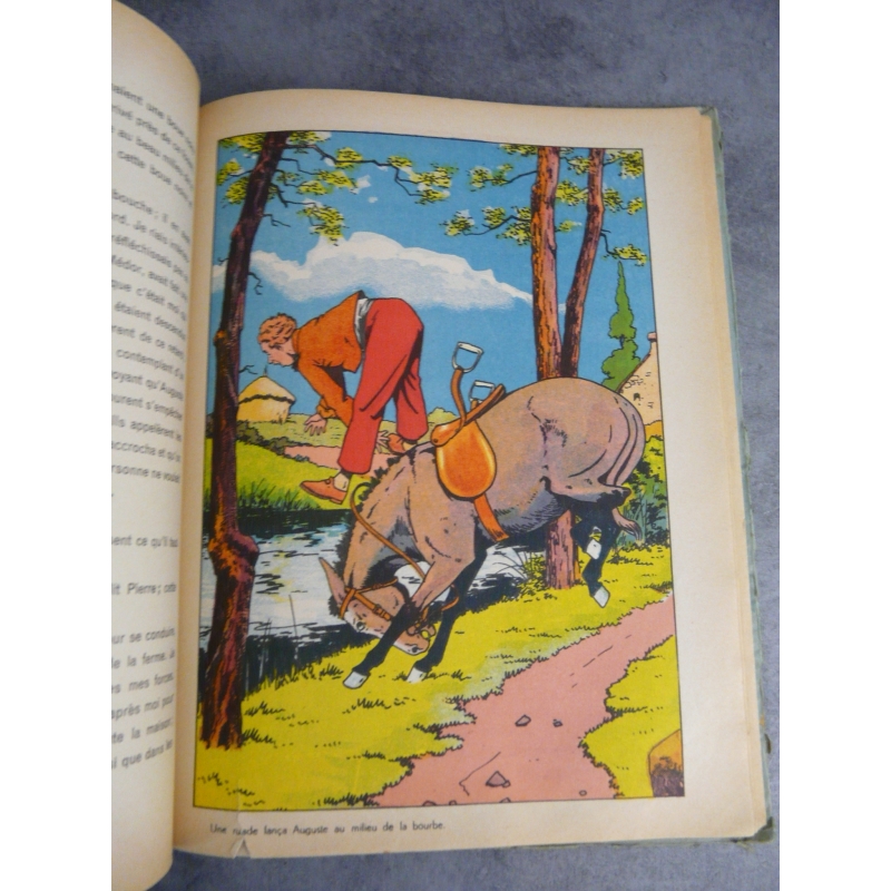 Mémoires d'un ane Contesse de Ségur illustré 1936 - Livre Luxe Book